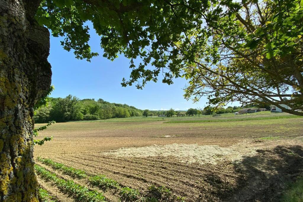 Gite Du Mercadal Les Pujols Pamiers Bagian luar foto